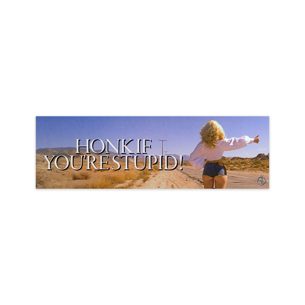 Honk If You're Stupid! Bumper Sticker